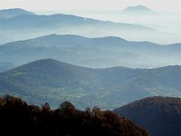 "IL GIRO DELLE CAMPANE" SUI MONTI INTORNO A ZOGNO (dom. 16 nov. 2008) - FOTOGALLERY